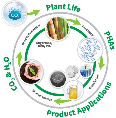 Circular Economy