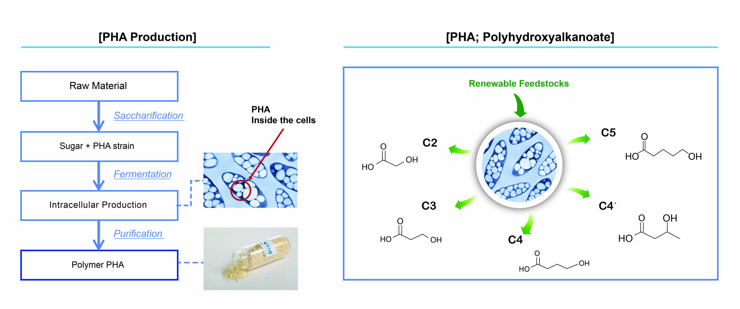 PHA Process